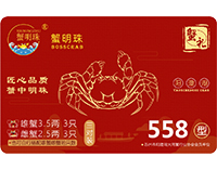 精品三对装558型